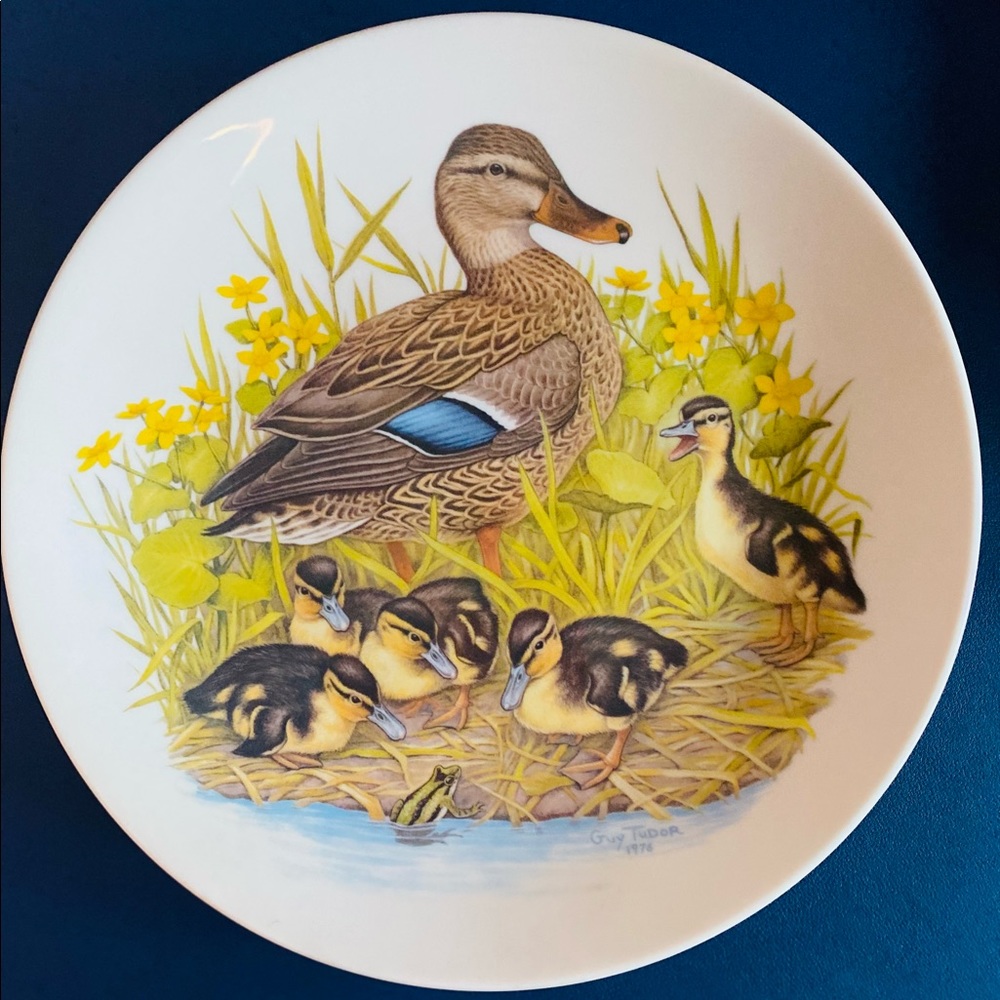 Mallard Family “1976” collectors Plate Art by Guy Tudor